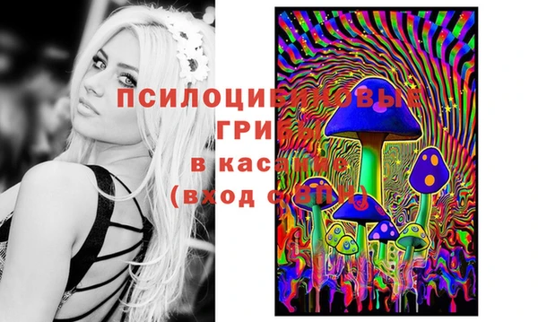 гидропоника Осинники