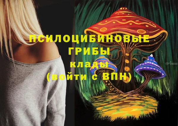 прущая мука Осташков