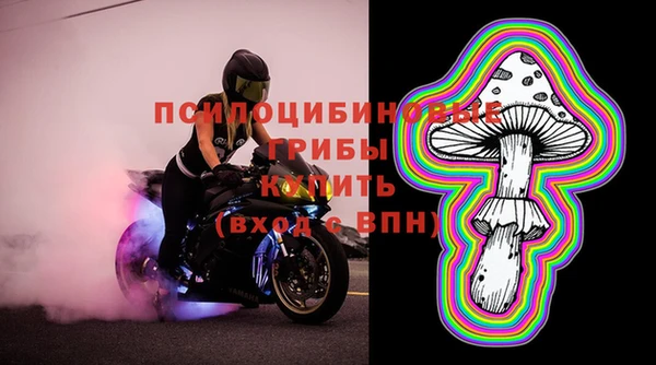 прущая мука Осташков