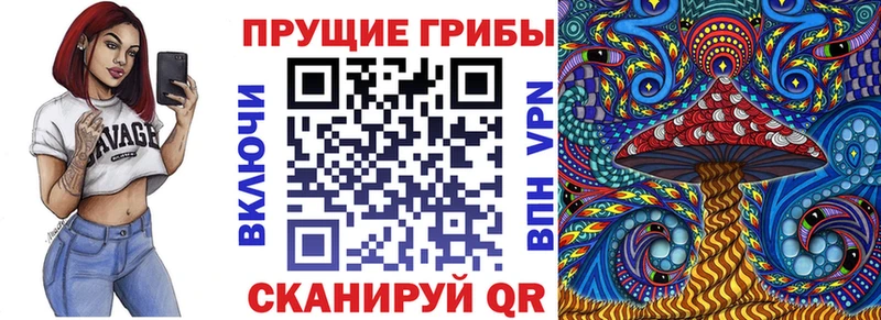Псилоцибиновые грибы Psilocybine cubensis  Покров 